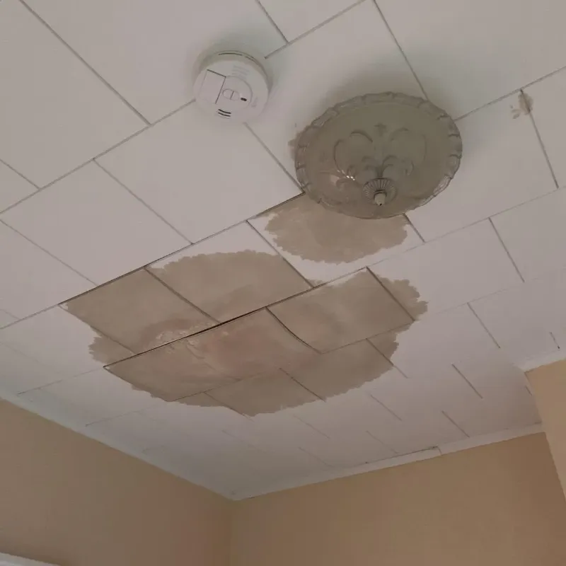 Ceiling Water Damage Repair in Rindge, NH