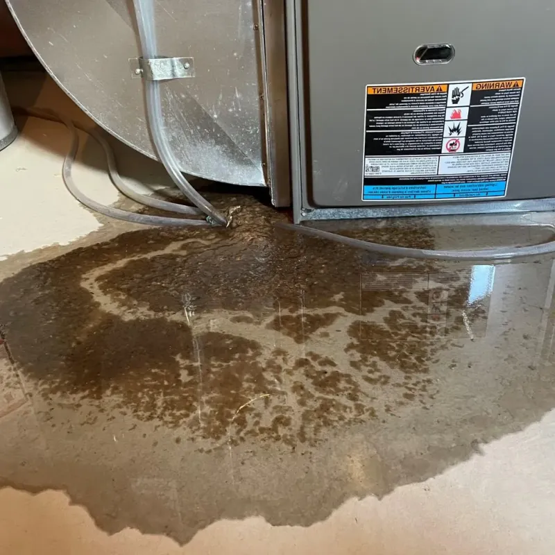 Pipe Burst and Leak Restoration in Rindge, NH